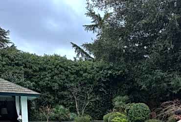 Tuz Klor Jeneratörü